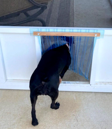 Medium large dog house - medium,