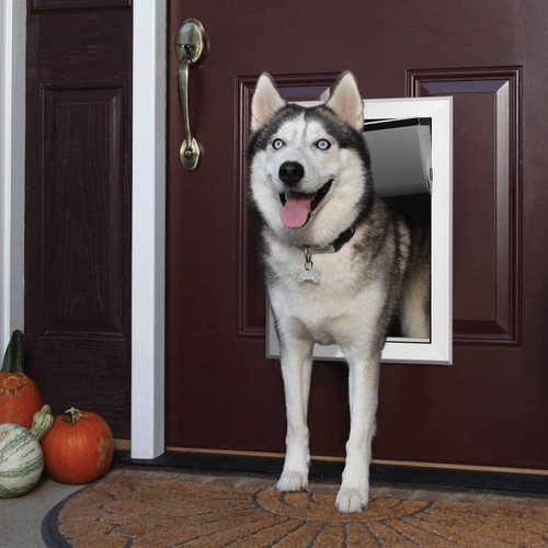 Large aluminum dog door - dog,